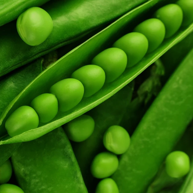 closeup po of green pea pods and leaves