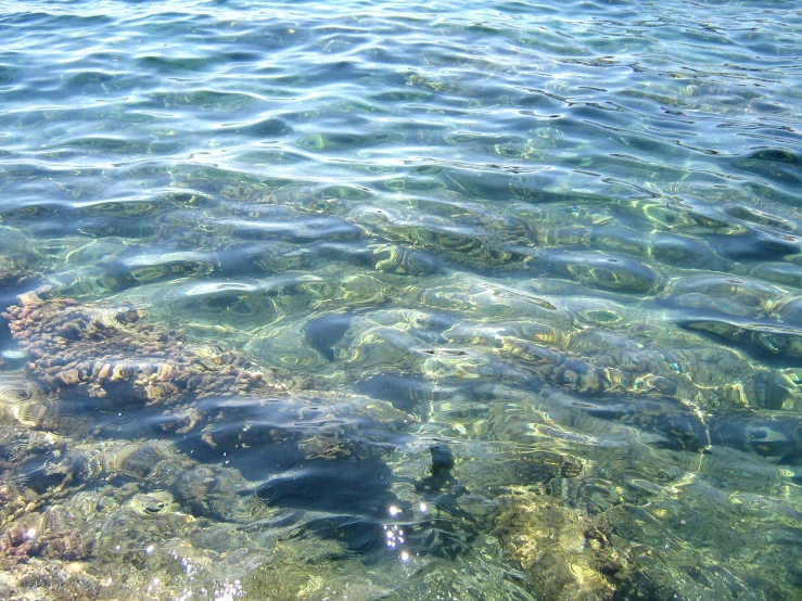 a view of the water from above the water line