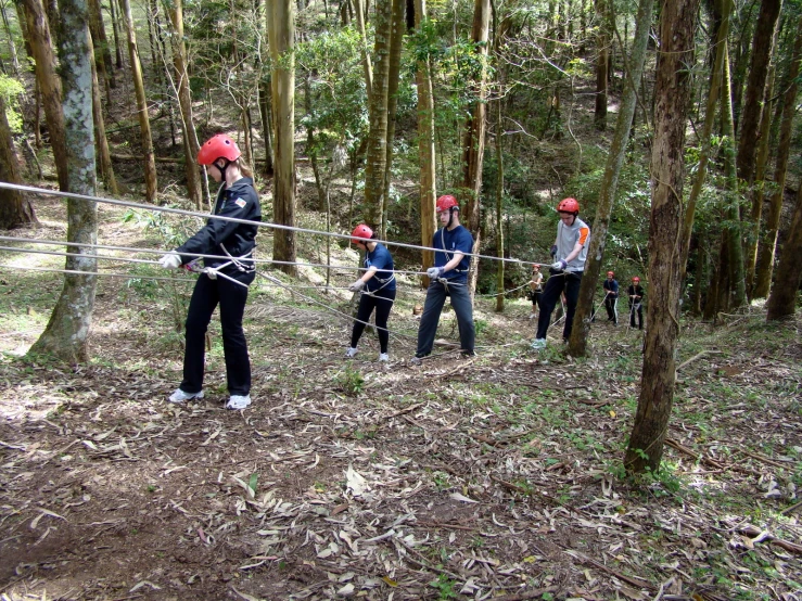 a group of men playing ball in the woods