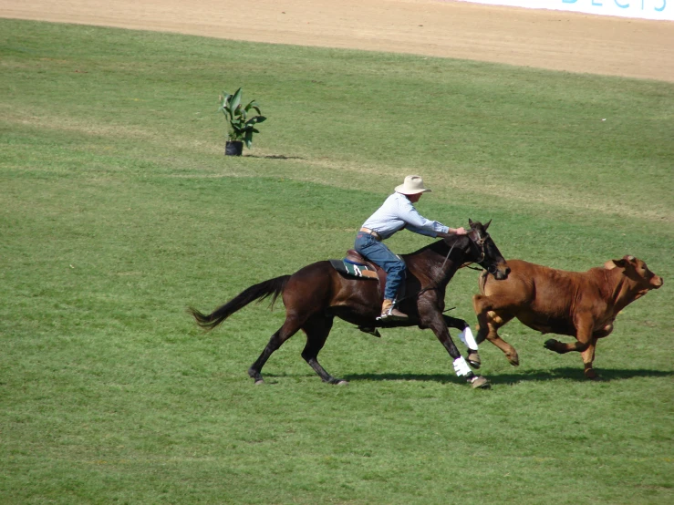 two men are on the backs of horses in a field