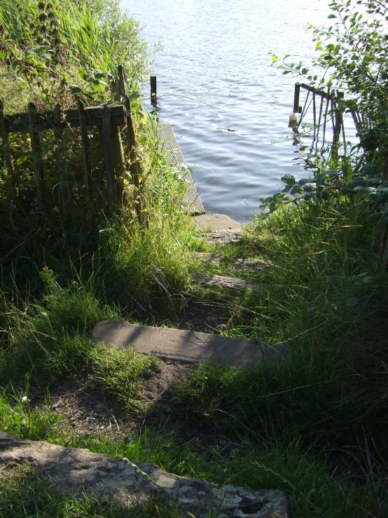 a view of a pathway leading into the water from a lake