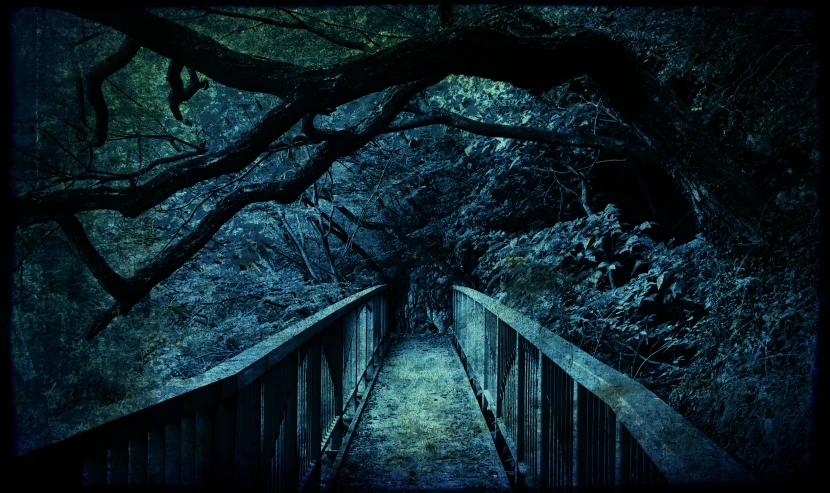 a dark path way with bare trees hanging over it