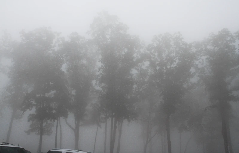 cars parked in a parking lot under the rain