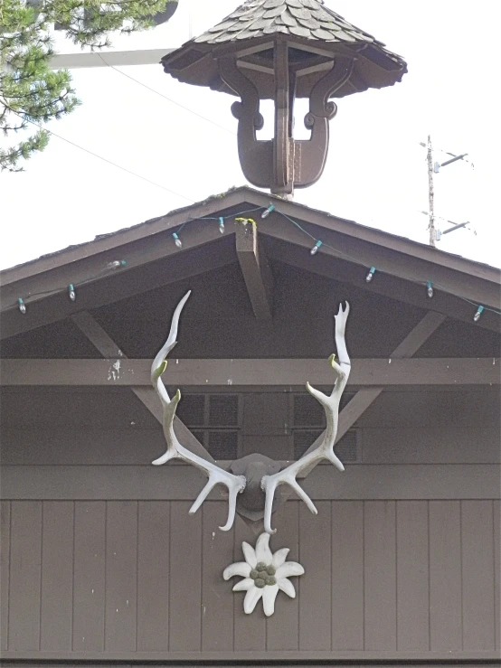 a clock made out of nches hanging from a house