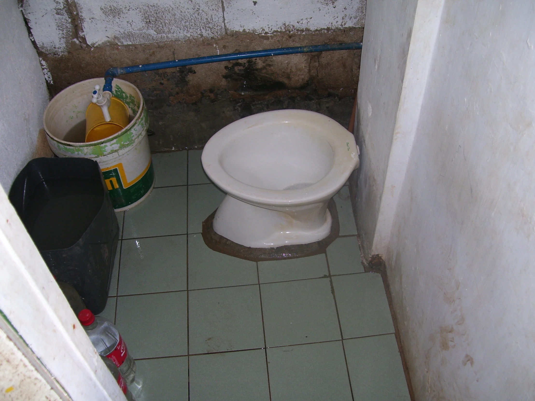 white toilet sitting on a green tiled floor next to a bucket of cleaning items