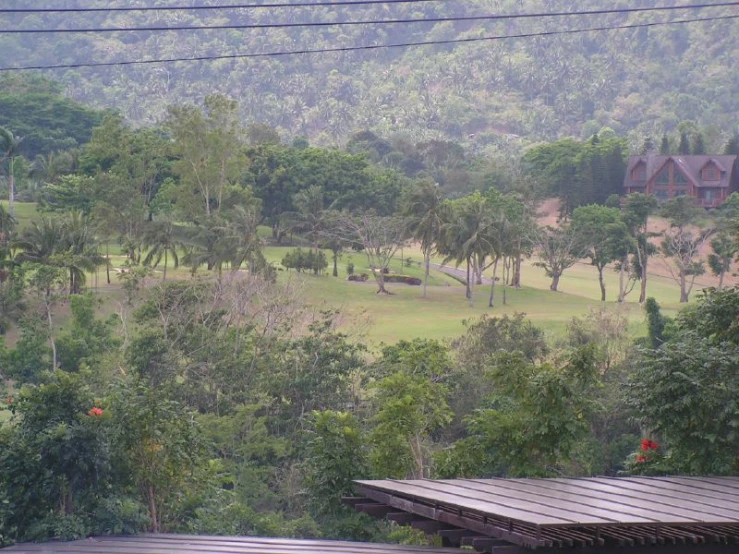 a forested area with hills and trees in the background