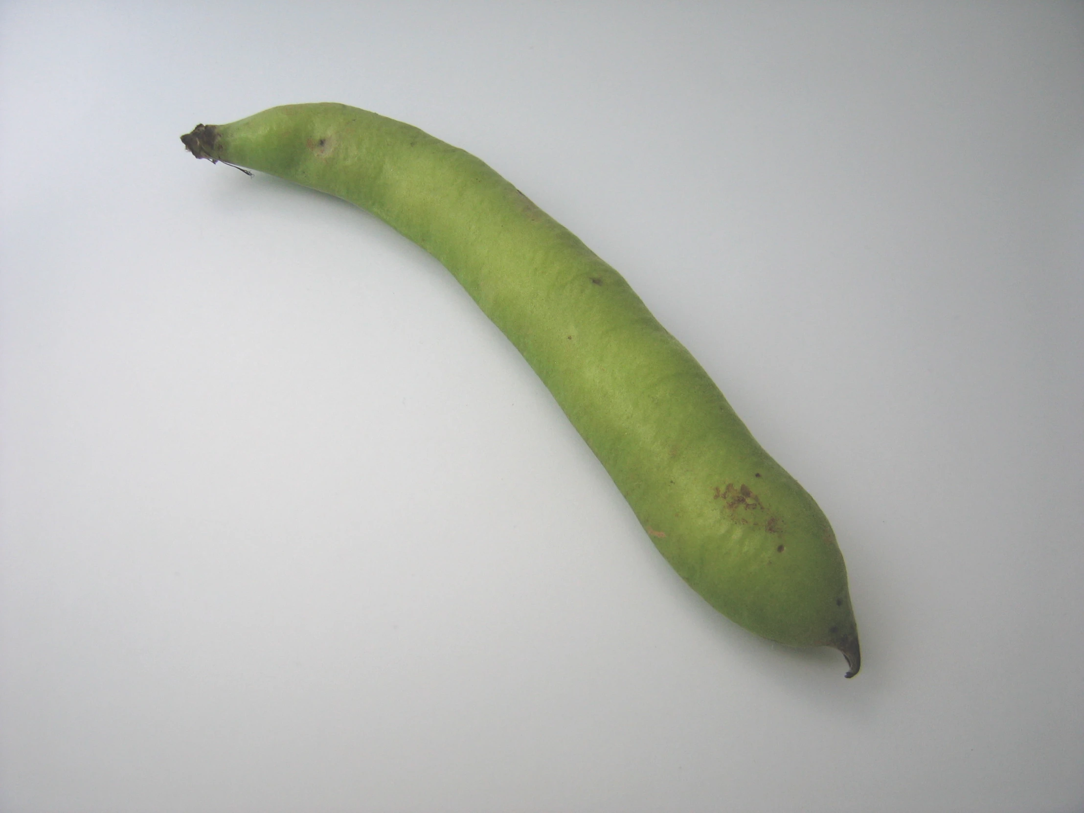 a pea pod is shown in a white po