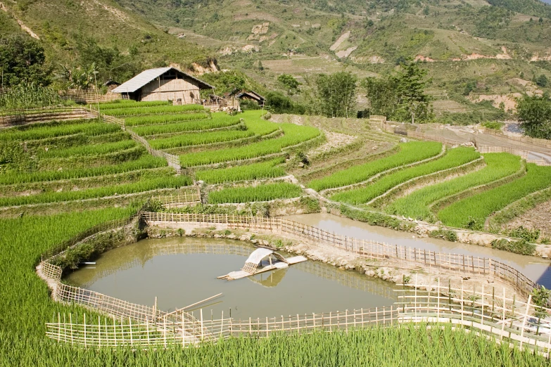 a green field with water and a small house