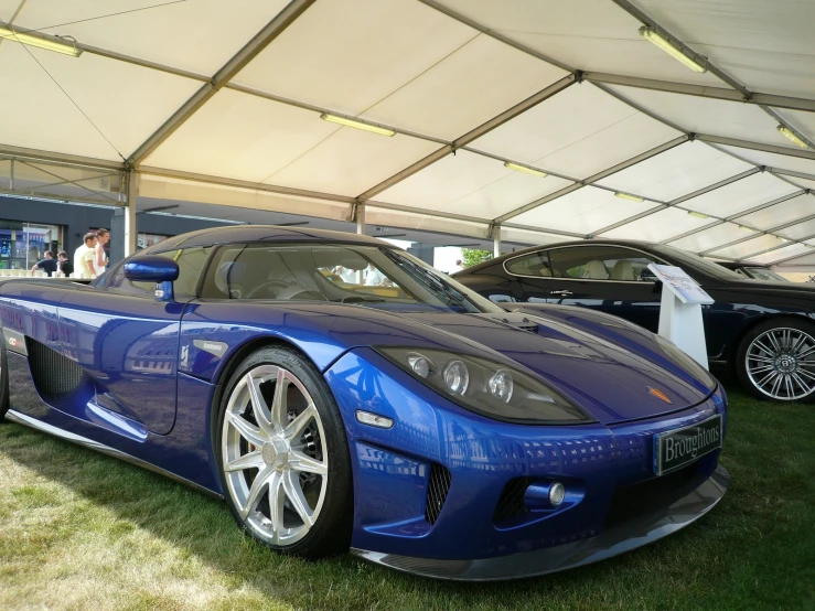 a blue and silver sports car parked in the grass