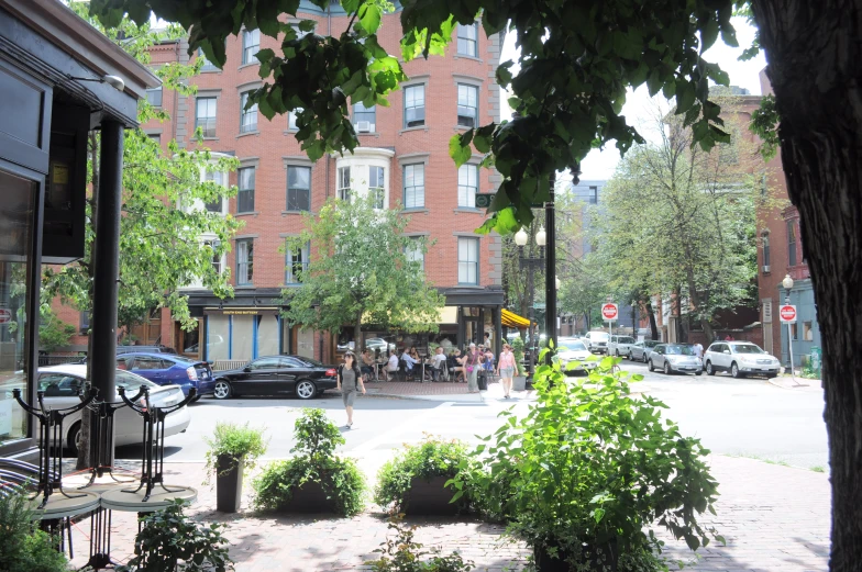 a view through trees looking down on the street