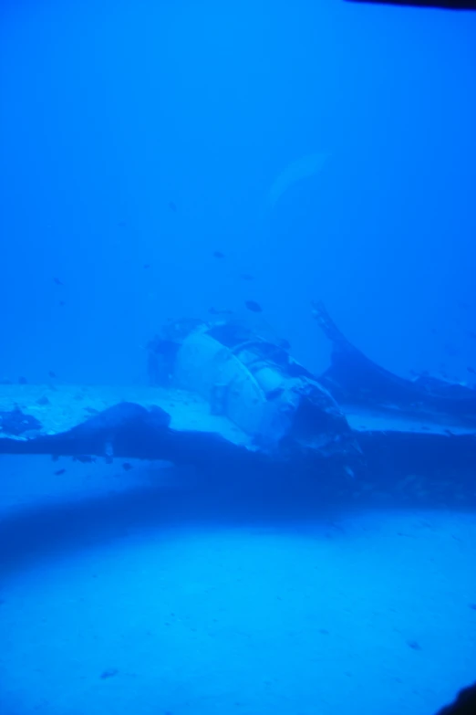 blue color underwater po of a small statue