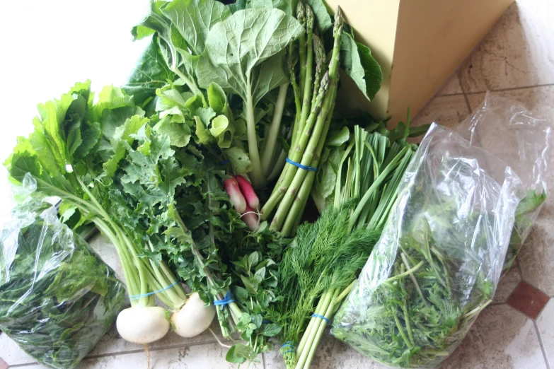 a group of greens are sitting on the floor