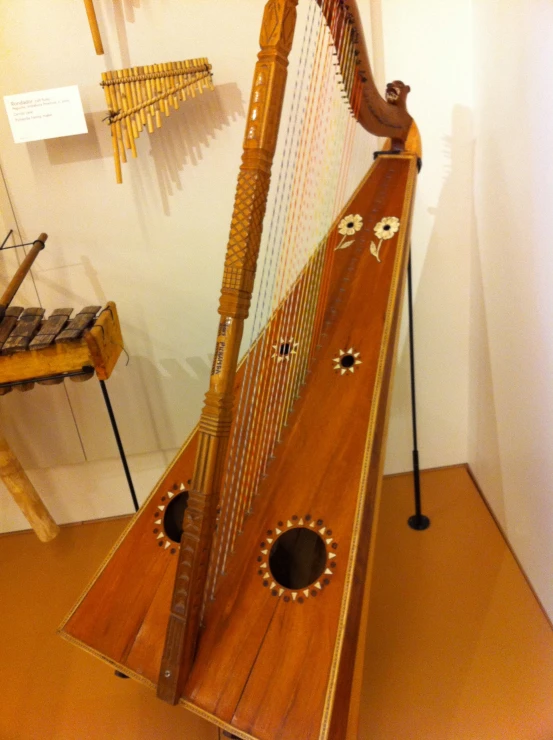 a decorative musical instrument in a museum display