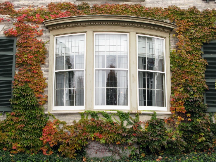 an old brick building with ivy growing on the windows