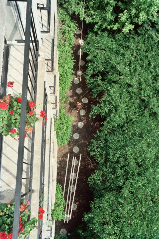 an aerial s of some tall green trees