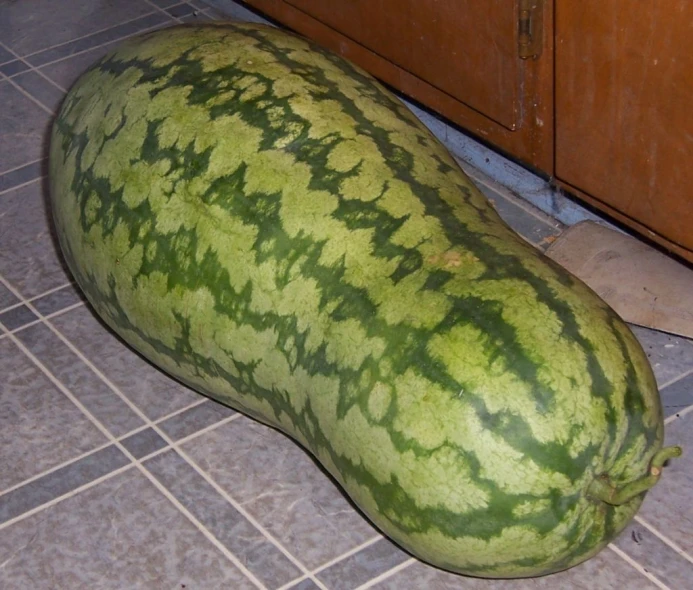 a large watermelon laying on the ground next to a cabinet