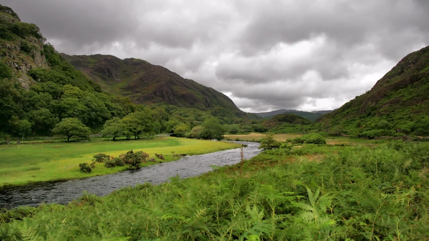 a beautiful river runs through a field near mountains