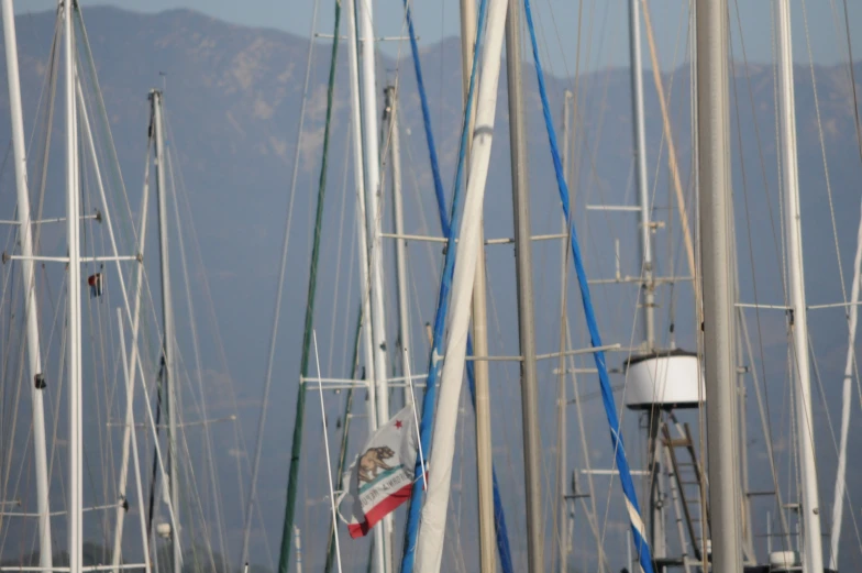 large group of boats with flags docked in the harbor