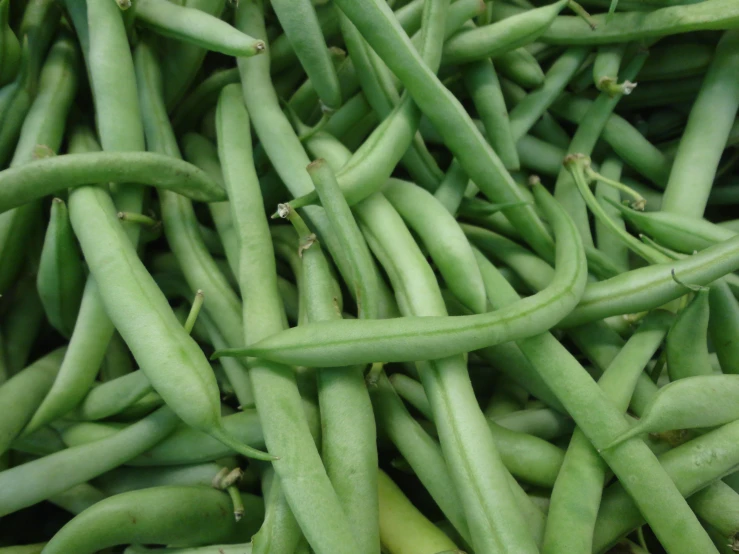 the beans have long stems with small pods growing out