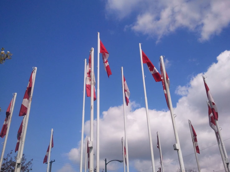 a group of flags blowing in the wind