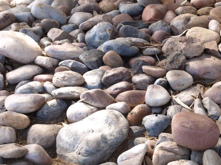 a large amount of rocks have a gray dot at the top