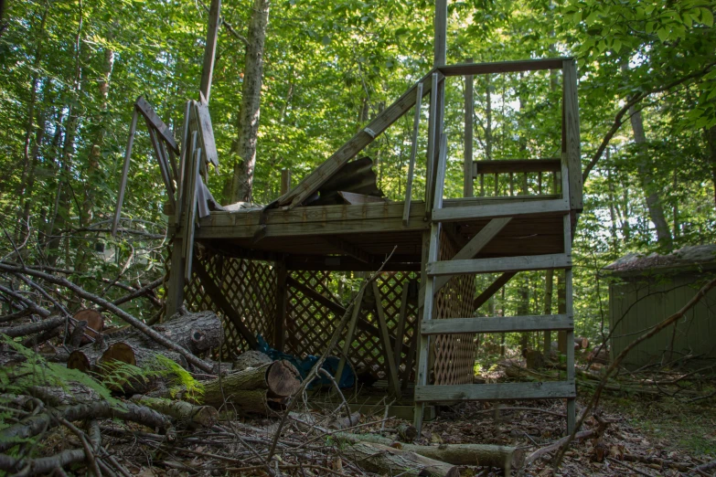 a set of stairs leading up to the bottom of a tree house