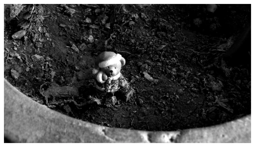 a small stuffed animal sitting in the dirt