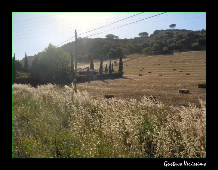 farm field full of hay and trees during the day