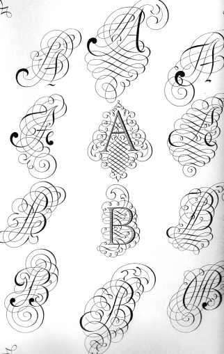 ornate calligraphy scripting by a letter and symbols