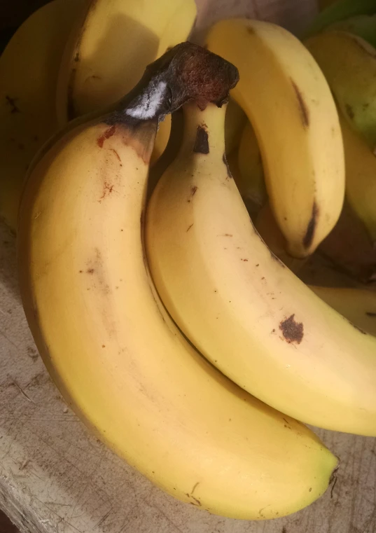 this is an image of bananas and bananas in a container