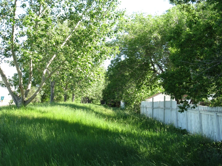 a white fence sits on the green grassy ground