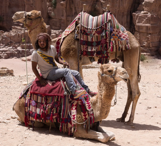 a man riding on top of a camel near another camel