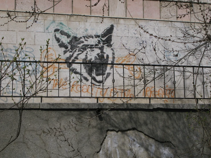 a wall painted with a tiger head with a barbed wire fence