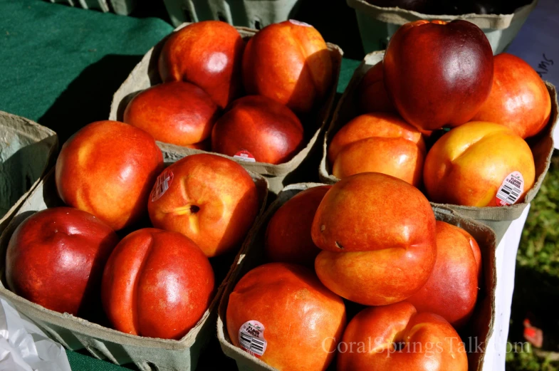 a table that has some baskets of peaches