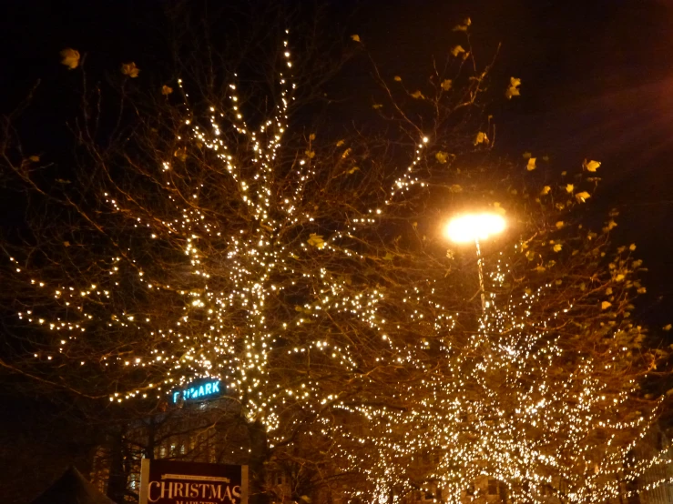 a large tree covered with christmas lights with a street light above it