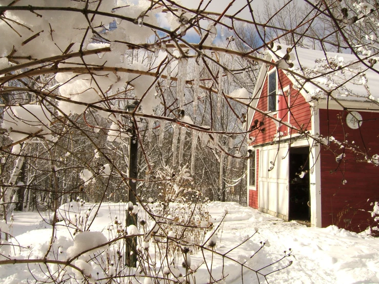 a red barn sitting in the snow near some nches