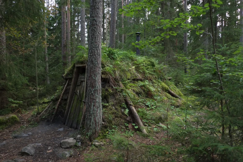 this tree tent has been built with the use of a small wooden bridge