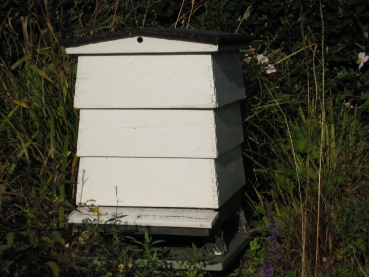 a stack of four beehives sitting next to a grassy field