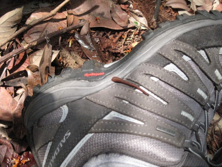 someone is walking through some leaves with shoes