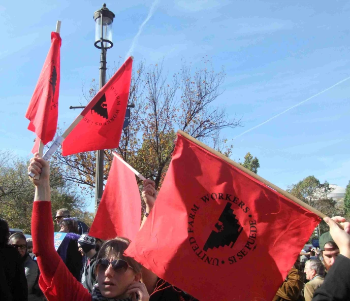 several people are holding red flags while some others watch