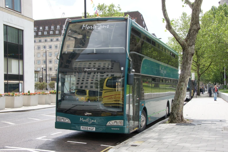 there is a green double decker bus parked in front of a tree