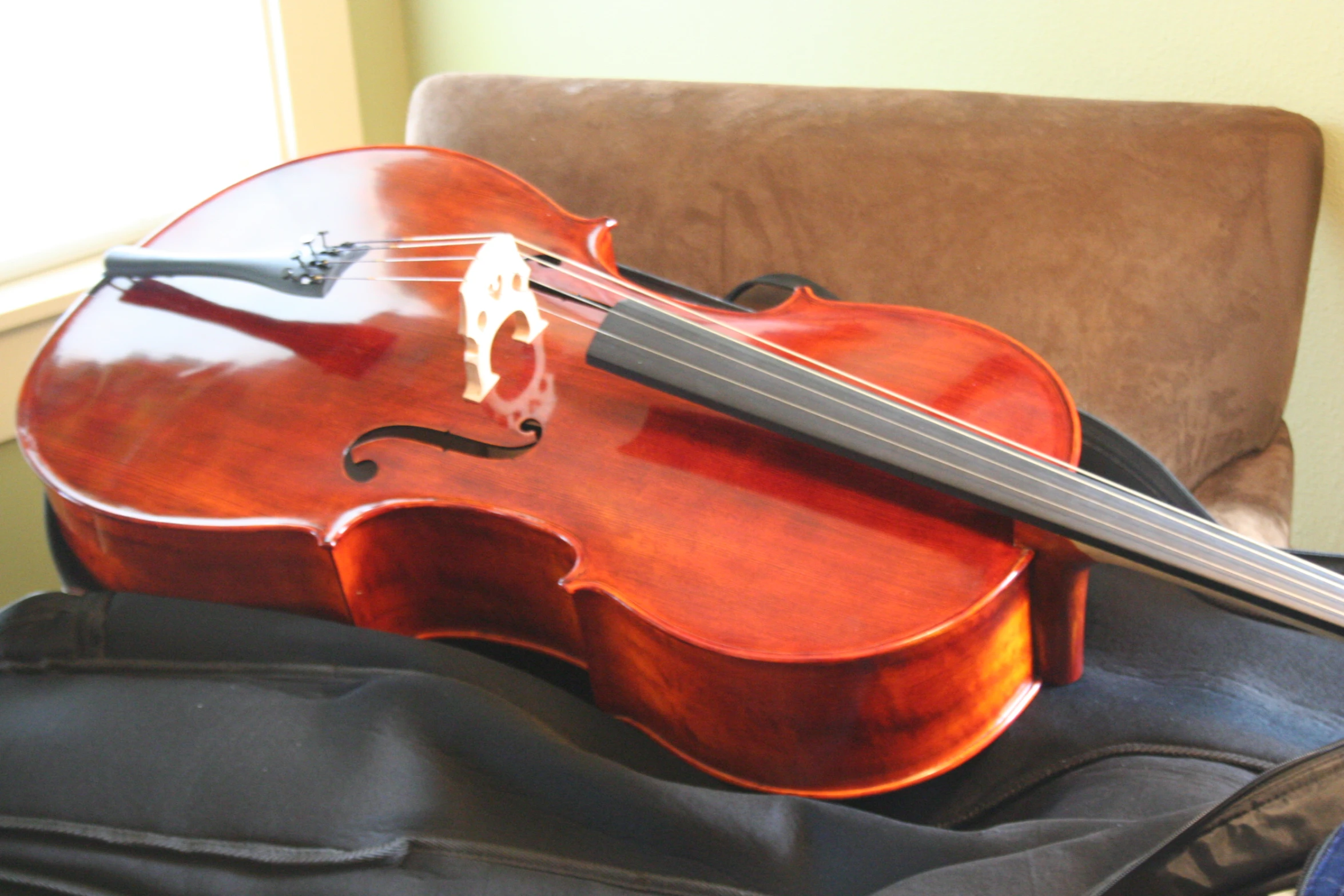 a violin sits next to its owner on a sofa