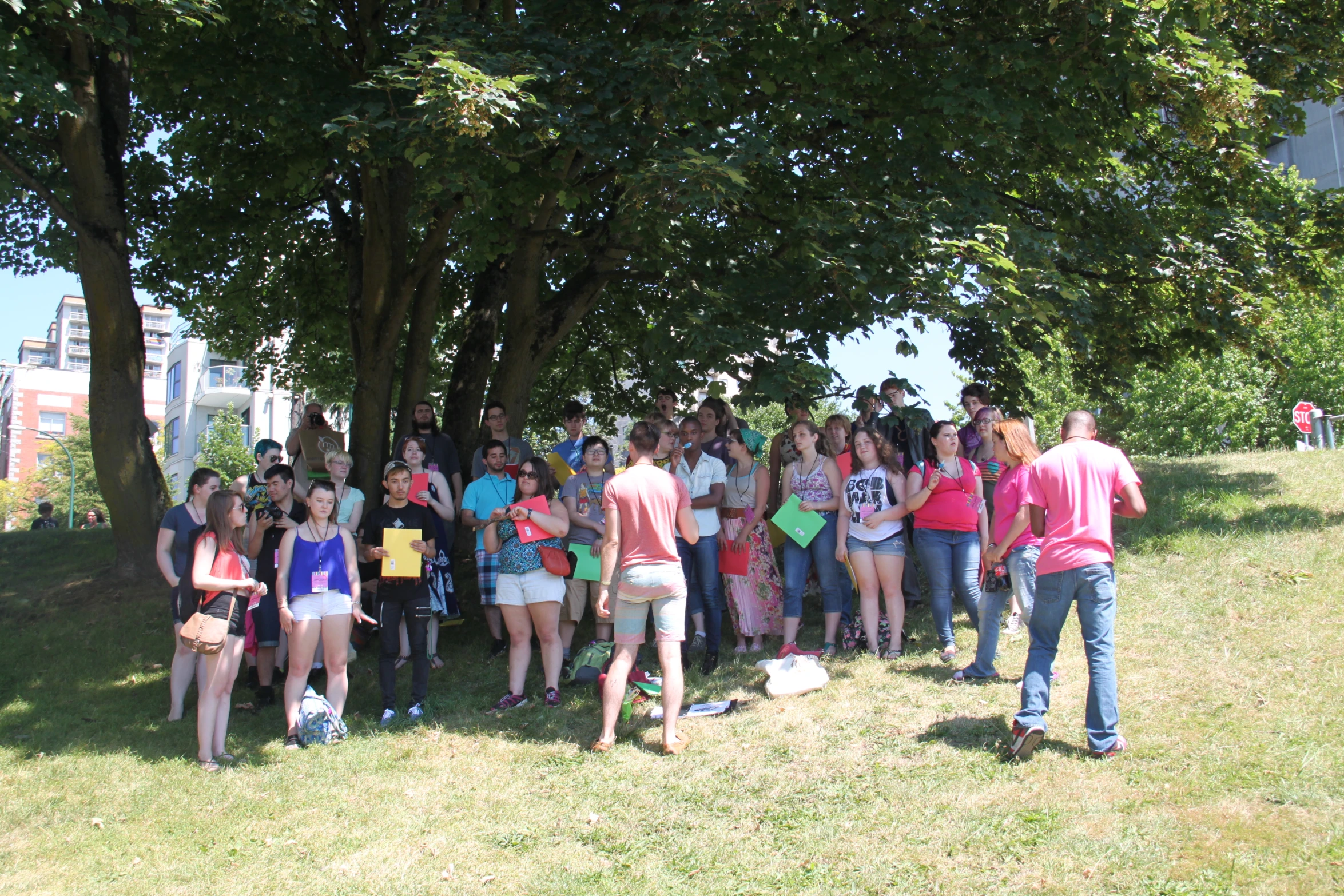 a large group of people in the grass