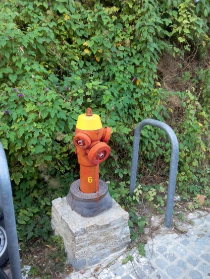 there is a red and yellow fire hydrant