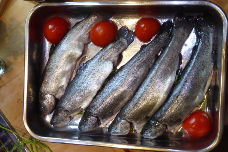 fresh fishes in tin with tomatoes on the side