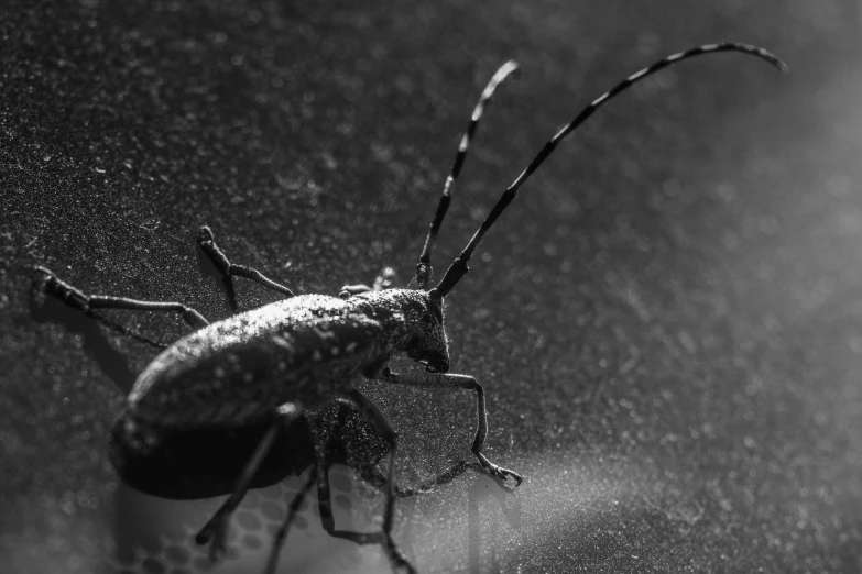 a bug sitting on top of a glass door