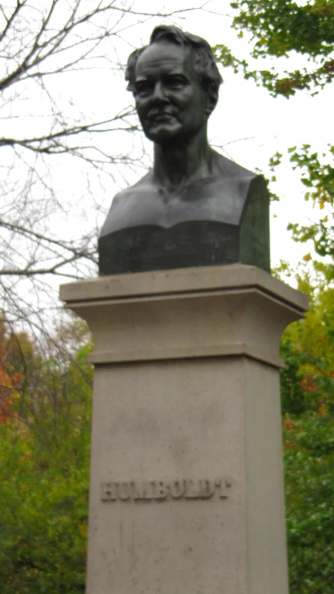 this is the bust of aham lincoln, who was buried in a tree