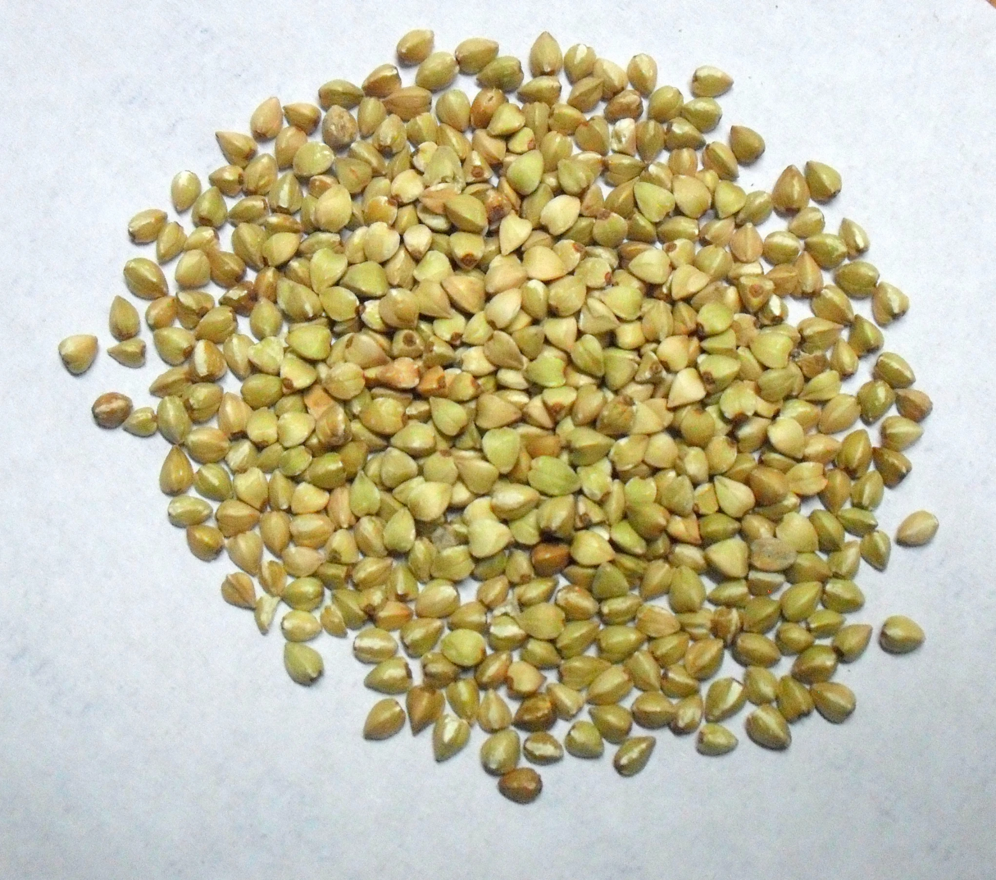 seeds are arranged in a round on a table