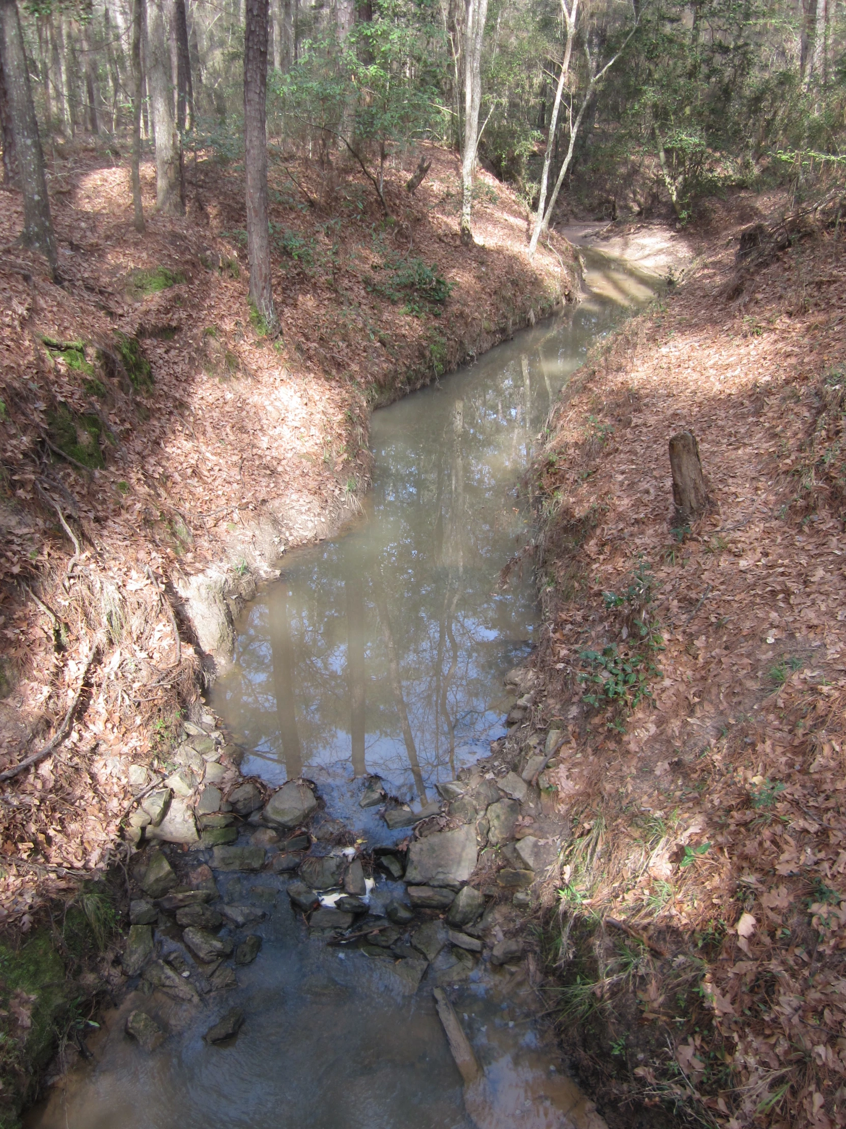 there is a creek that goes through a wooded area