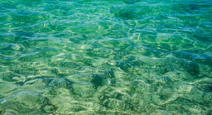 some shallow blue water some green and white